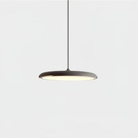 Hanglamp met Eenvoudig Ontwerp voor Moderne Interieurs