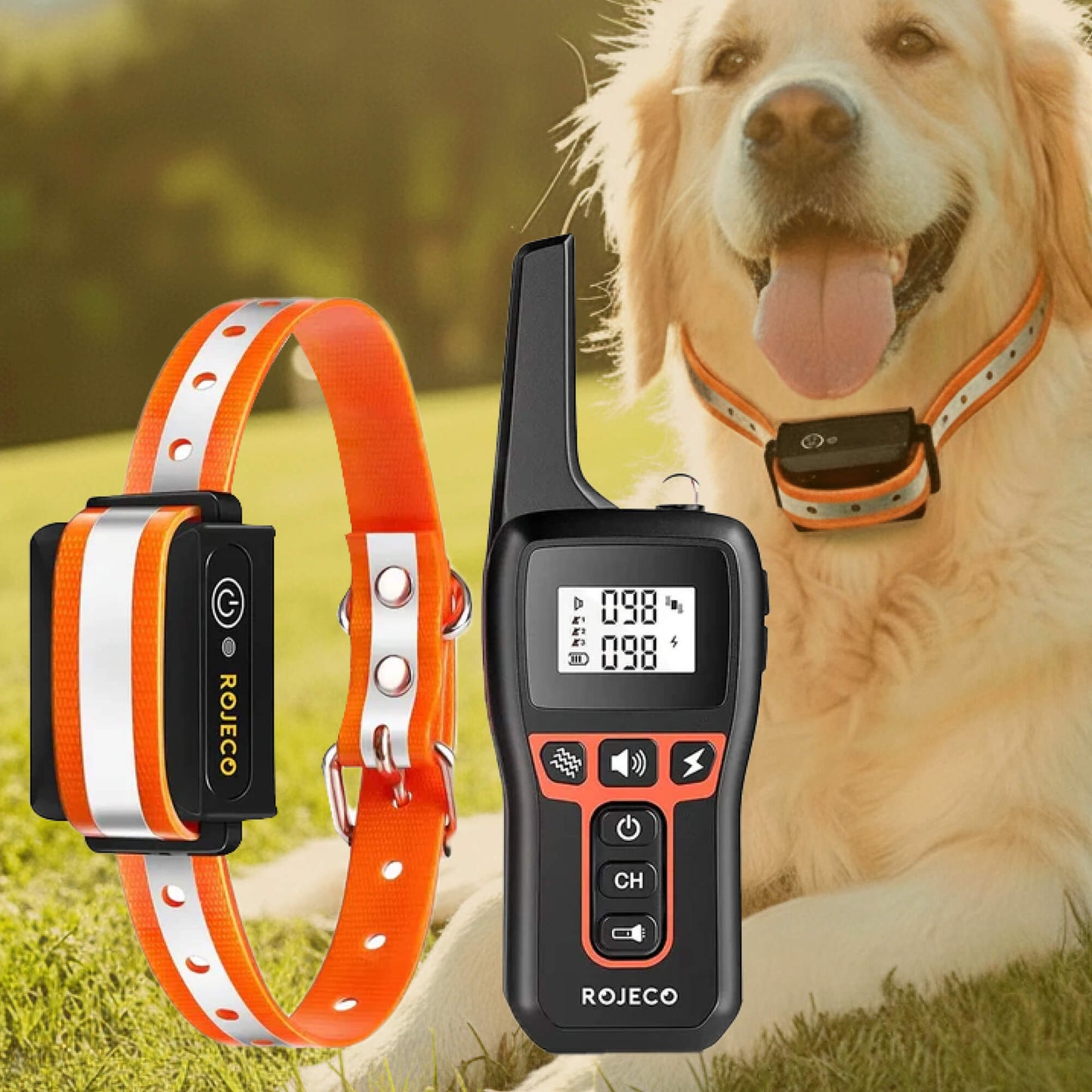 1000m Waterdichte Honden Trainingshalsband | Oplaadbaar, Afstandsbediening & Verstelbaar voor Kleine, Middelgrote en Grote Honden