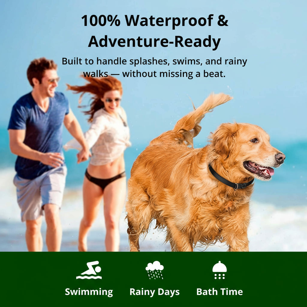 1000m Waterdichte Honden Trainingshalsband | Oplaadbaar, Afstandsbediening & Verstelbaar voor Kleine, Middelgrote en Grote Honden