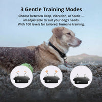 1000m Waterdichte Honden Trainingshalsband | Oplaadbaar, Afstandsbediening & Verstelbaar voor Kleine, Middelgrote en Grote Honden