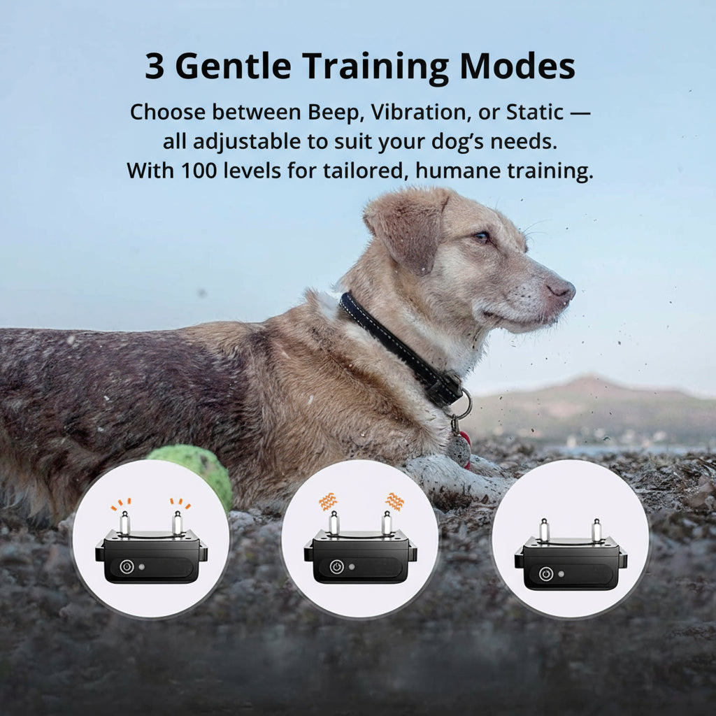 1000m Waterdichte Honden Trainingshalsband | Oplaadbaar, Afstandsbediening & Verstelbaar voor Kleine, Middelgrote en Grote Honden