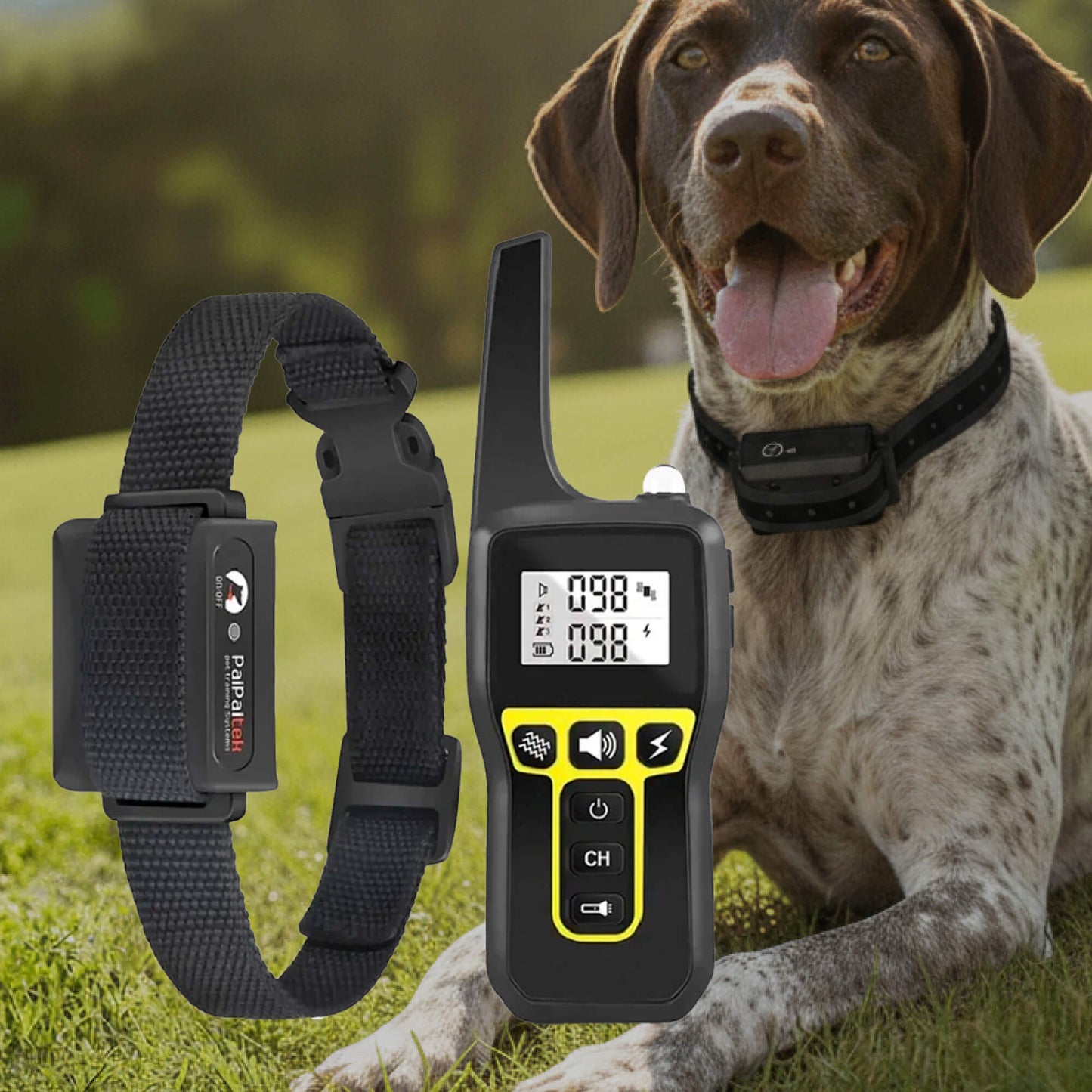 1000m Waterdichte Honden Trainingshalsband | Oplaadbaar, Afstandsbediening & Verstelbaar voor Kleine, Middelgrote en Grote Honden