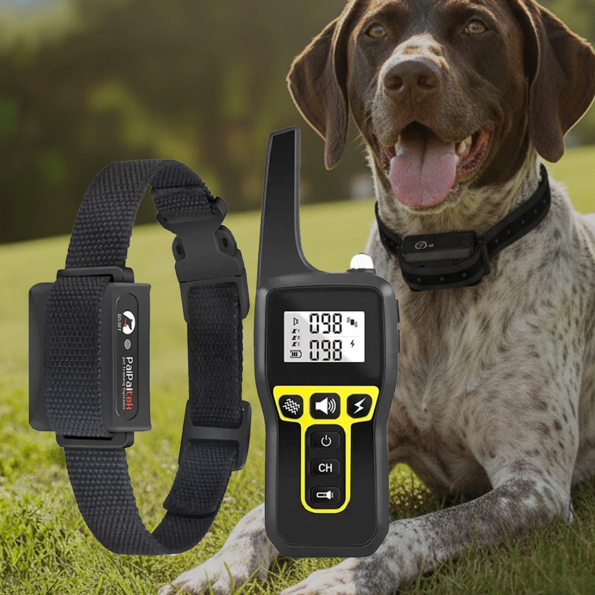 1000m Waterdichte Honden Trainingshalsband | Oplaadbaar, Afstandsbediening & Verstelbaar voor Kleine, Middelgrote en Grote Honden