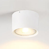 LED Plafondspot Cilinder | Verstelbaar Spotlight Design