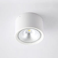 LED Plafondspot Cilinder | Verstelbaar Spotlight Design