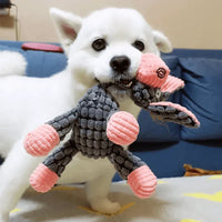 Robuust honden speelgoed van pluche | Bijtbestendig en duurzaam ontwerp | Meerdere modellen