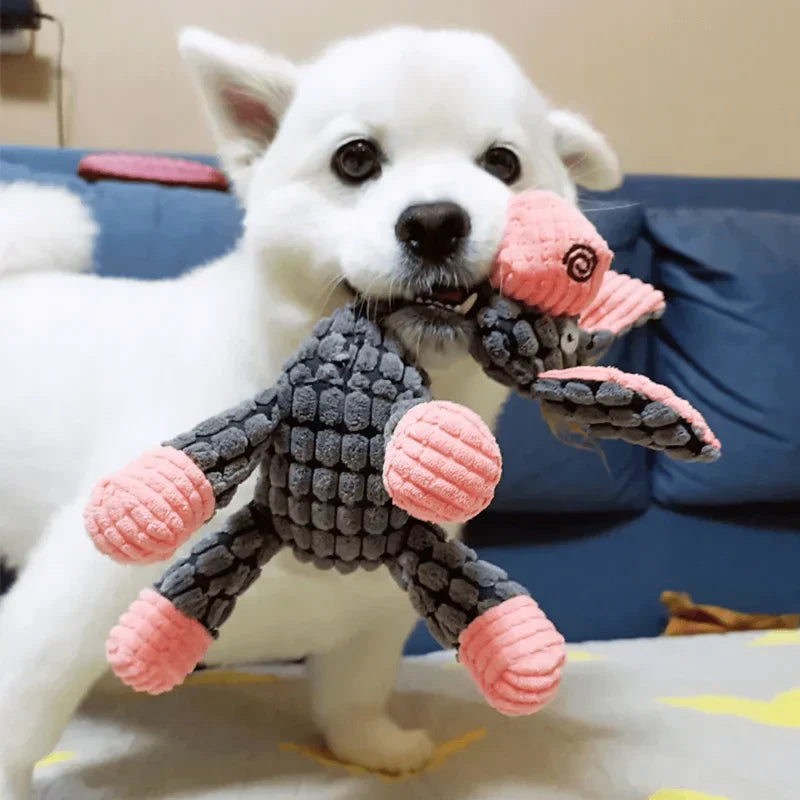 Robuust honden speelgoed van pluche | Bijtbestendig en duurzaam ontwerp | Meerdere modellen