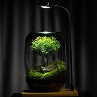 LushVista - Moslandschap Display