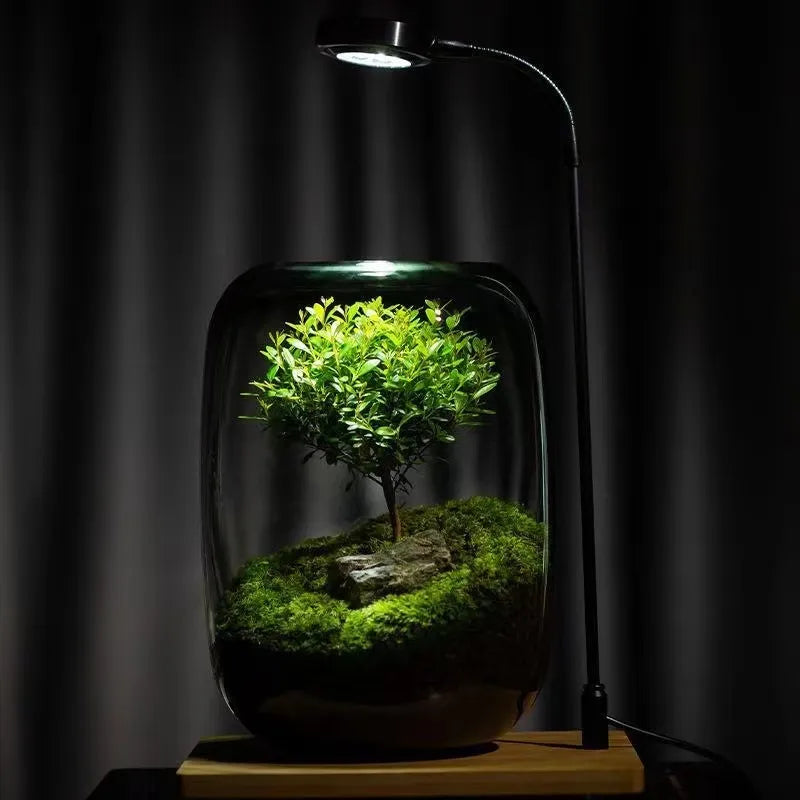 LushVista - Moslandschap Display
