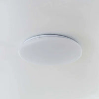 LED Plafondlamp Organische Natuurlijke Steen Vorm