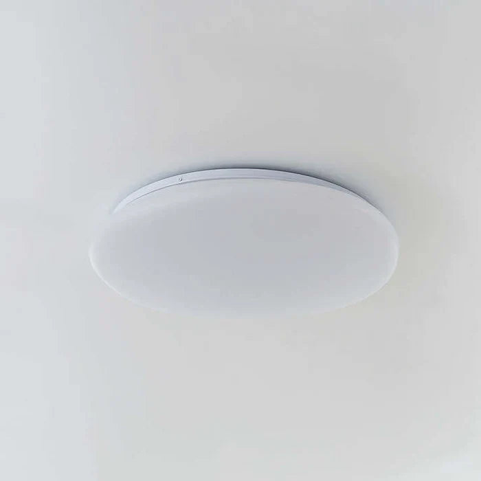 LED Plafondlamp Organische Natuurlijke Steen Vorm