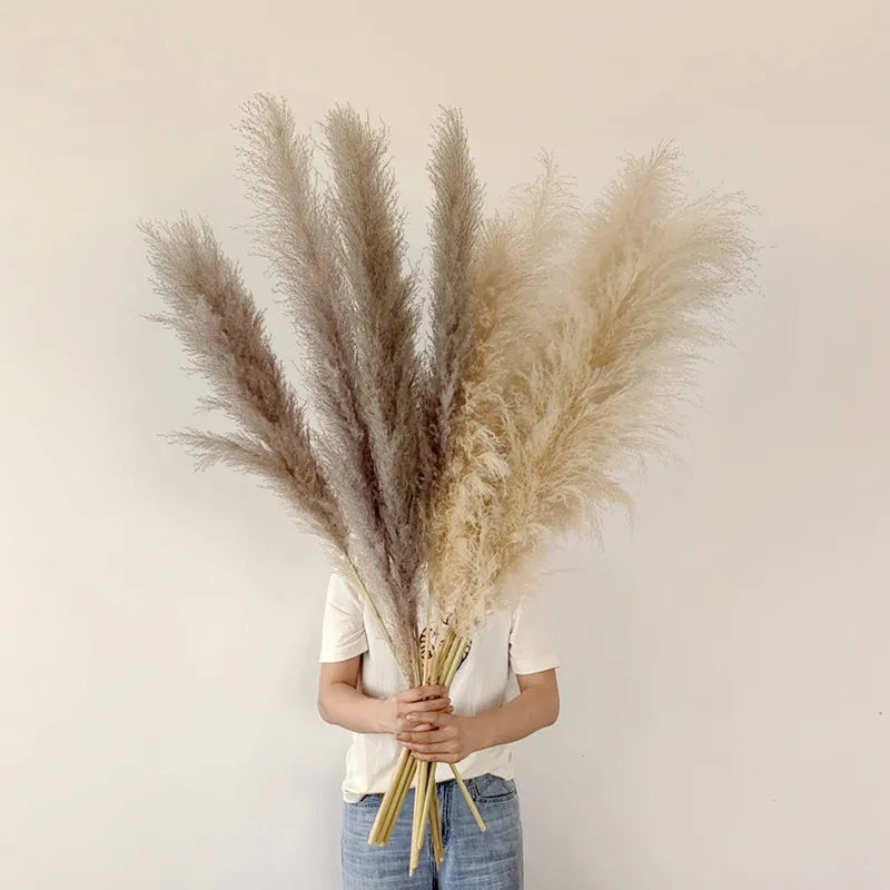 Aurea Meadow Bohemian Gedroogd Pampasgras Voor Woondecoratie