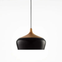 Scandinavische Hanglamp