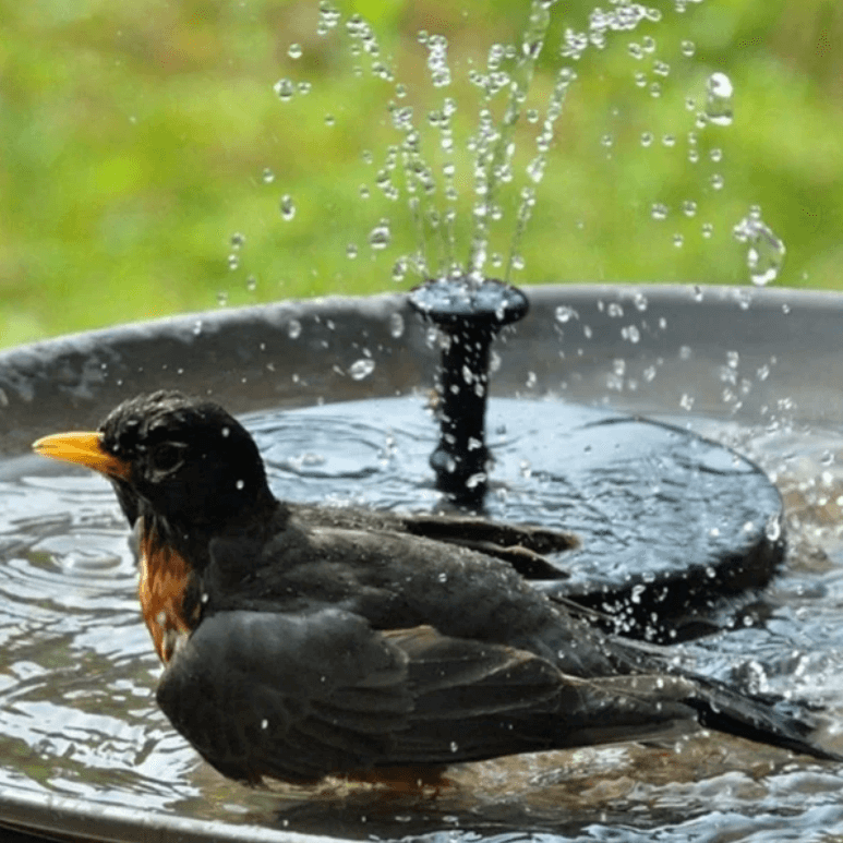 Zonnefonteinpomp met LED-verlichting Buitenwaterfunctie
