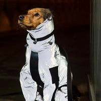 Honden Regenjas met Benen - Waterdichte Hondenjas voor Kleine en Grote Rassen | UK Cozy Winterkleding
