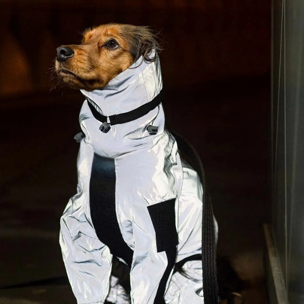 Honden Regenjas met Benen - Waterdichte Hondenjas voor Kleine en Grote Rassen | UK Cozy Winterkleding