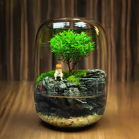 LushVista - Moslandschap Display