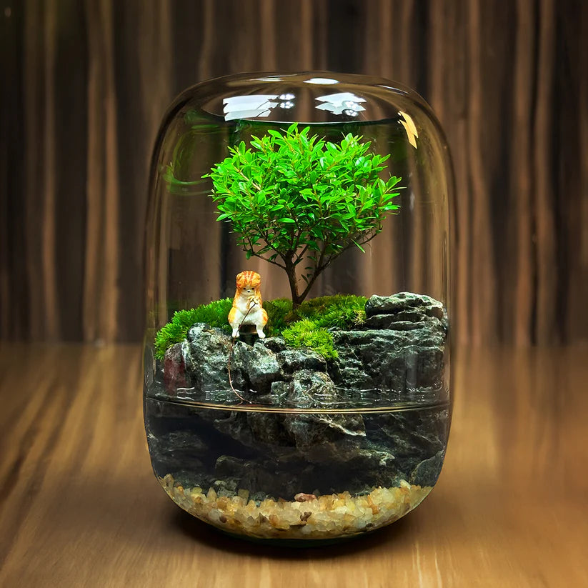 LushVista - Moslandschap Display
