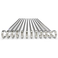 12" RVS Grill BBQ Vleesprikkers Grill BBQ Gereedschap 12 Stuks | Brehn