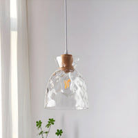Dane Nordic Helder Glazen Hanglamp