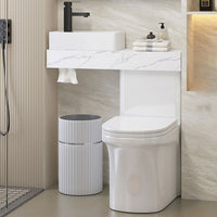 Contemporary Flush Toilet Vloermontage Eenstuk Toilet Urine Toilet