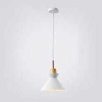 AuroraLite Nordic Hanglamp | Metaalontwerp | 1-Licht | Moderne kleurvarianten