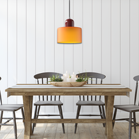 Nordic Iron Body Two-Tone Glass Pendant Light