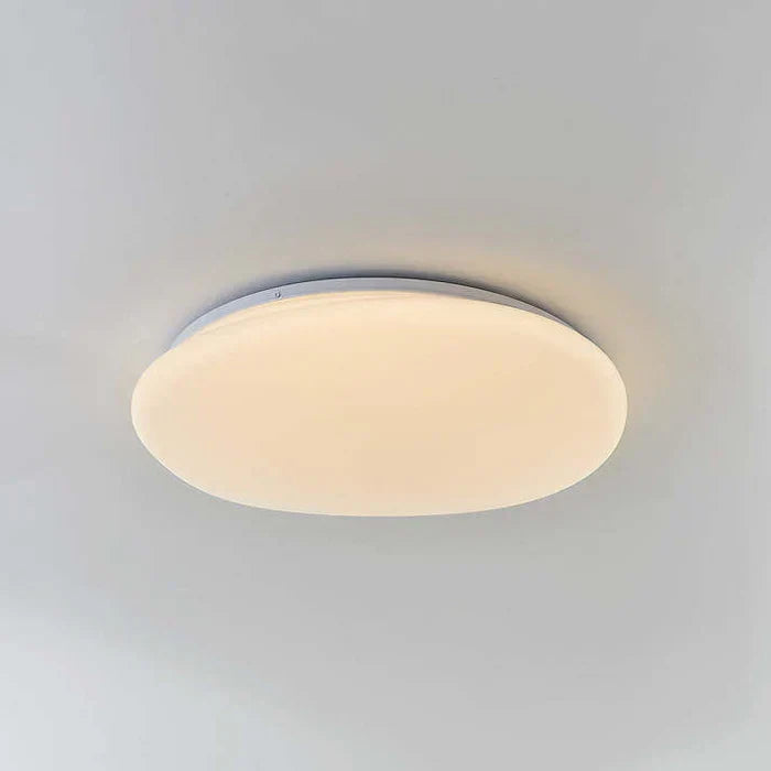 LED Plafondlamp Organische Natuurlijke Steen Vorm