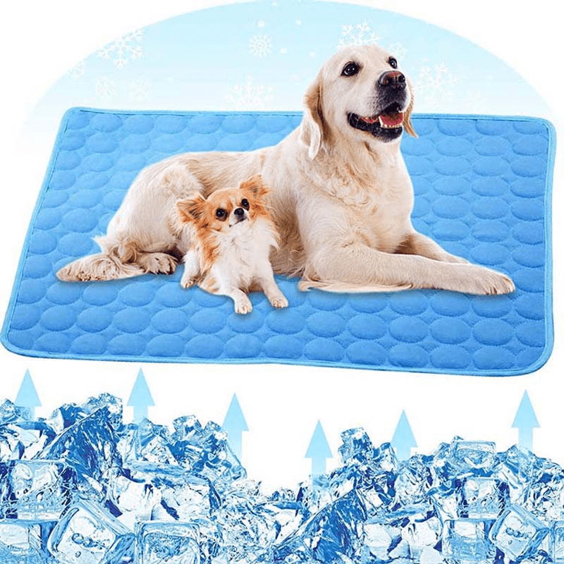 PawBreeze | Instant temperature reduction without electricity