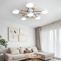 Circulaire Acryl LED Plafondlamp