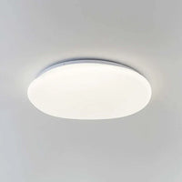 LED Plafondlamp Organische Natuurlijke Steen Vorm