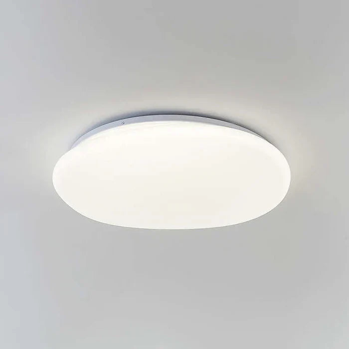LED Plafondlamp Organische Natuurlijke Steen Vorm