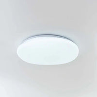 LED Plafondlamp Organische Natuurlijke Steen Vorm
