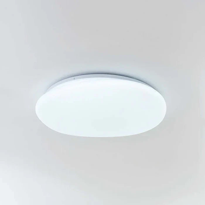 LED Plafondlamp Organische Natuurlijke Steen Vorm
