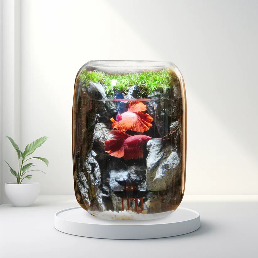 LushVista - Moslandschap Display