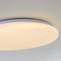LED Plafondlamp Organische Natuurlijke Steen Vorm
