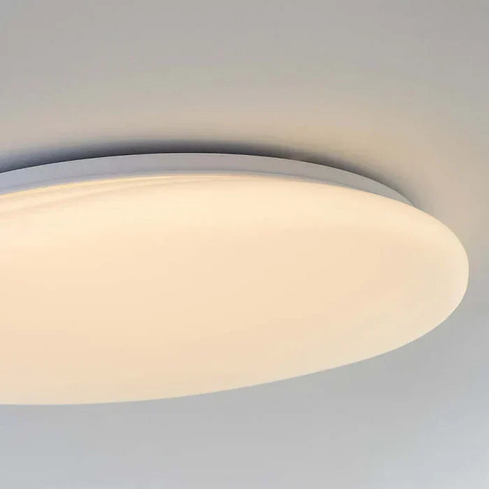 LED Plafondlamp Organische Natuurlijke Steen Vorm