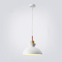 AuroraLite Nordic Hanglamp | Metaalontwerp | 1-Licht | Moderne kleurvarianten