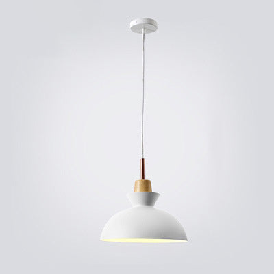 AuroraLite Nordic Hanglamp | Metaalontwerp | 1-Licht | Moderne kleurvarianten