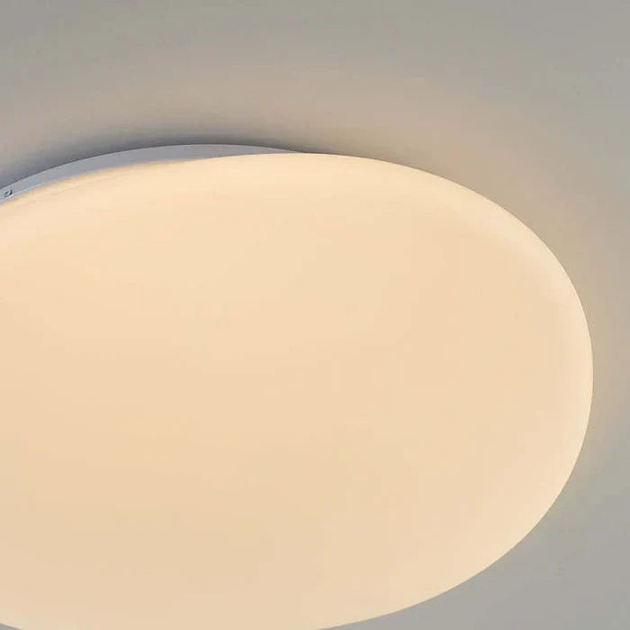 LED Plafondlamp Organische Natuurlijke Steen Vorm