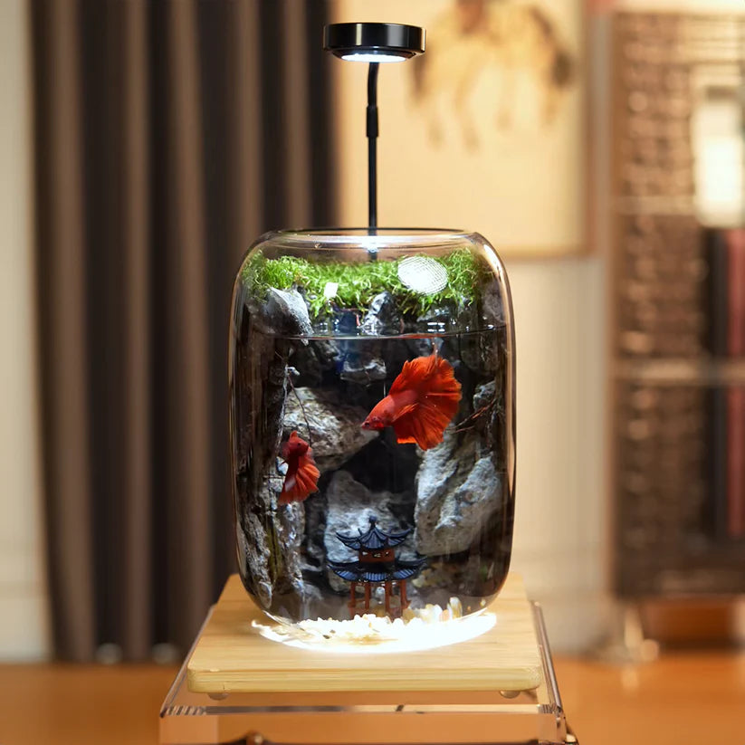 LushVista - Moslandschap Display