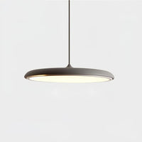 Hanglamp met Eenvoudig Ontwerp voor Moderne Interieurs