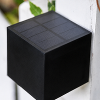 Luxe LED Solar Wandlamp