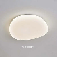 LED Plafondlamp Organische Natuurlijke Steen Vorm