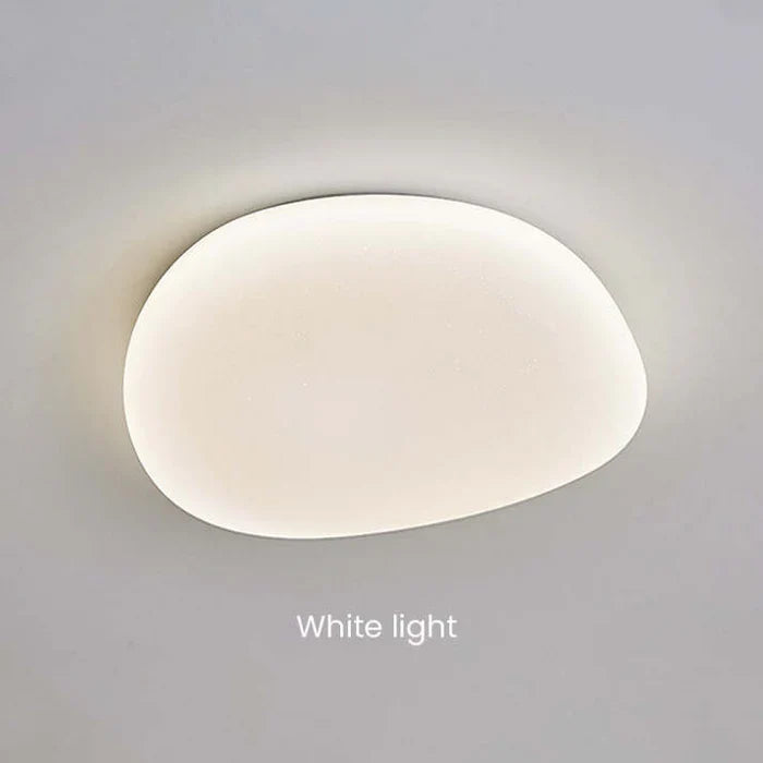 LED Plafondlamp Organische Natuurlijke Steen Vorm