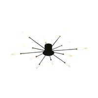 Zwarte/Gouden Burst Plafondlamp Hedendaags 12/18/28 Lichten Acryl LED Semi Flush Gemonteerde Lamp voor Slaapkamer