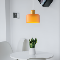 Nordic Iron Body Two-Tone Glass Pendant Light