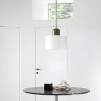 Nordic Iron Body Two-Tone Glass Pendant Light