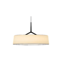 Dama Radiance Minimalistische Metalen Hanglamp