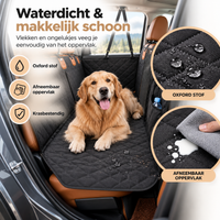 ComfortCarrier | Waar autobescherming en comfort voor je hond samenkomen | +Veilige hondenriem